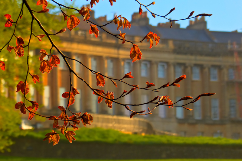 Bath Spring School Image